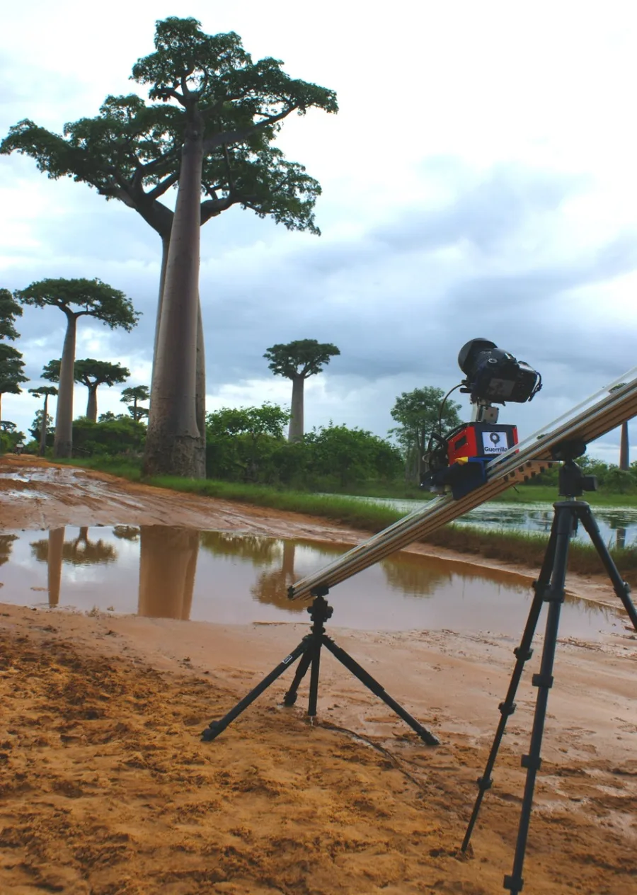 Camera on a slider filming the Avenue of the Baobabs, Madagascar
