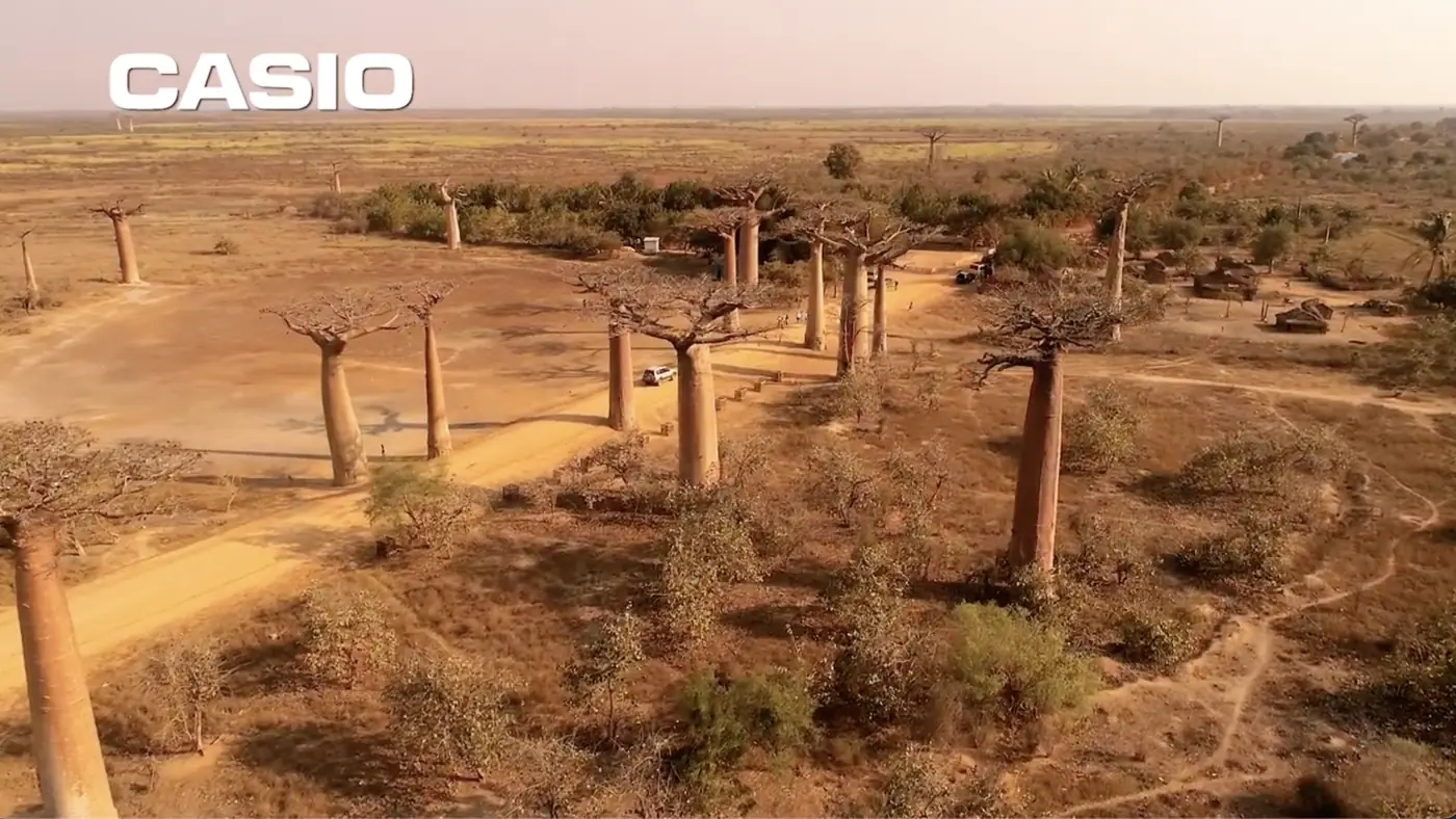 Vue aérienne de l’Allée des Baobabs, tirée d’une publicité Casio tournée à Madagascar