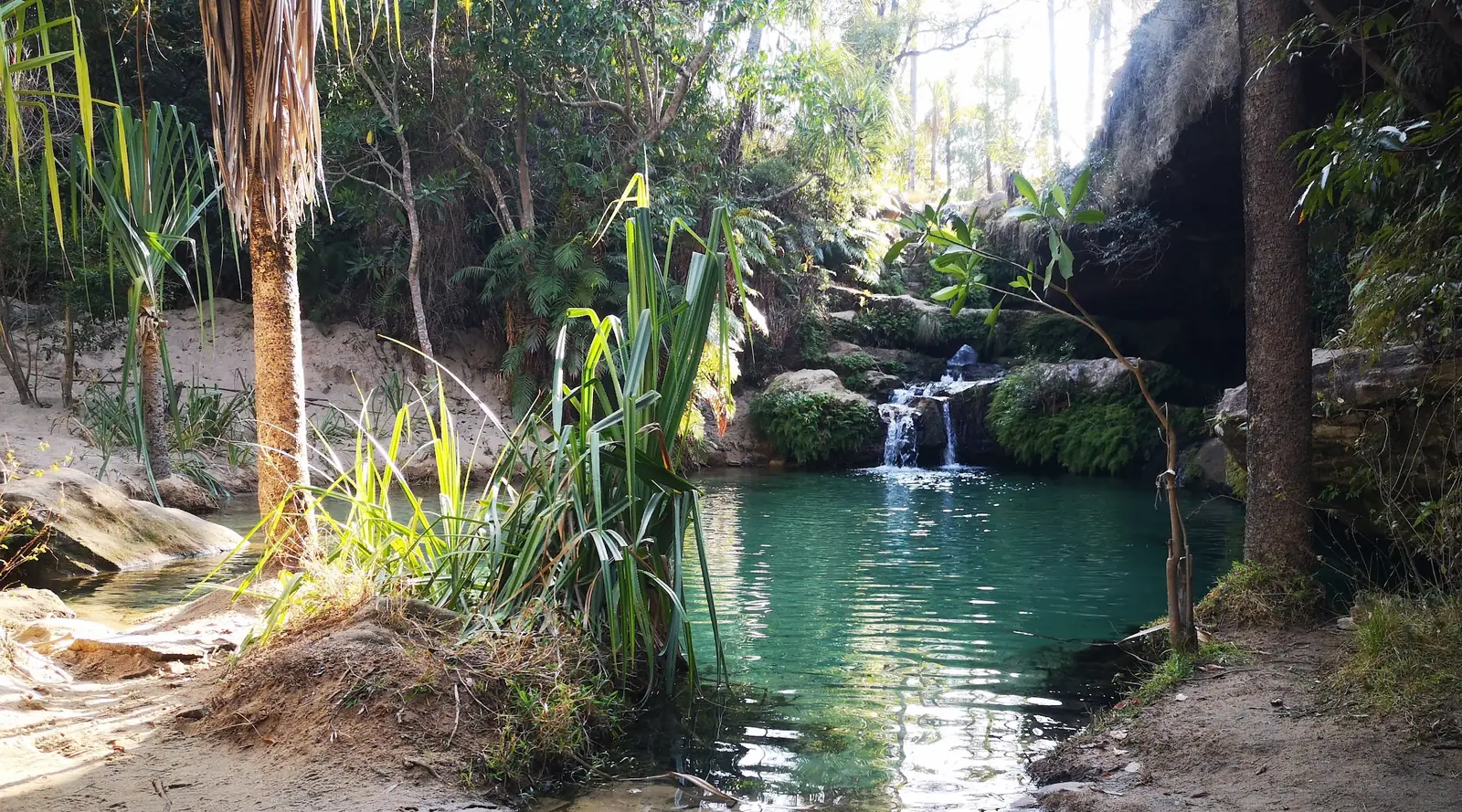 Natural pool with a small waterfall among palms and pandanus, Madagascar