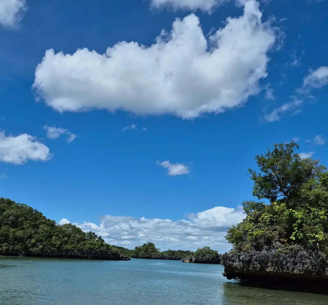 Limestone islets covered in trees in a sheltered bay, Madagascar