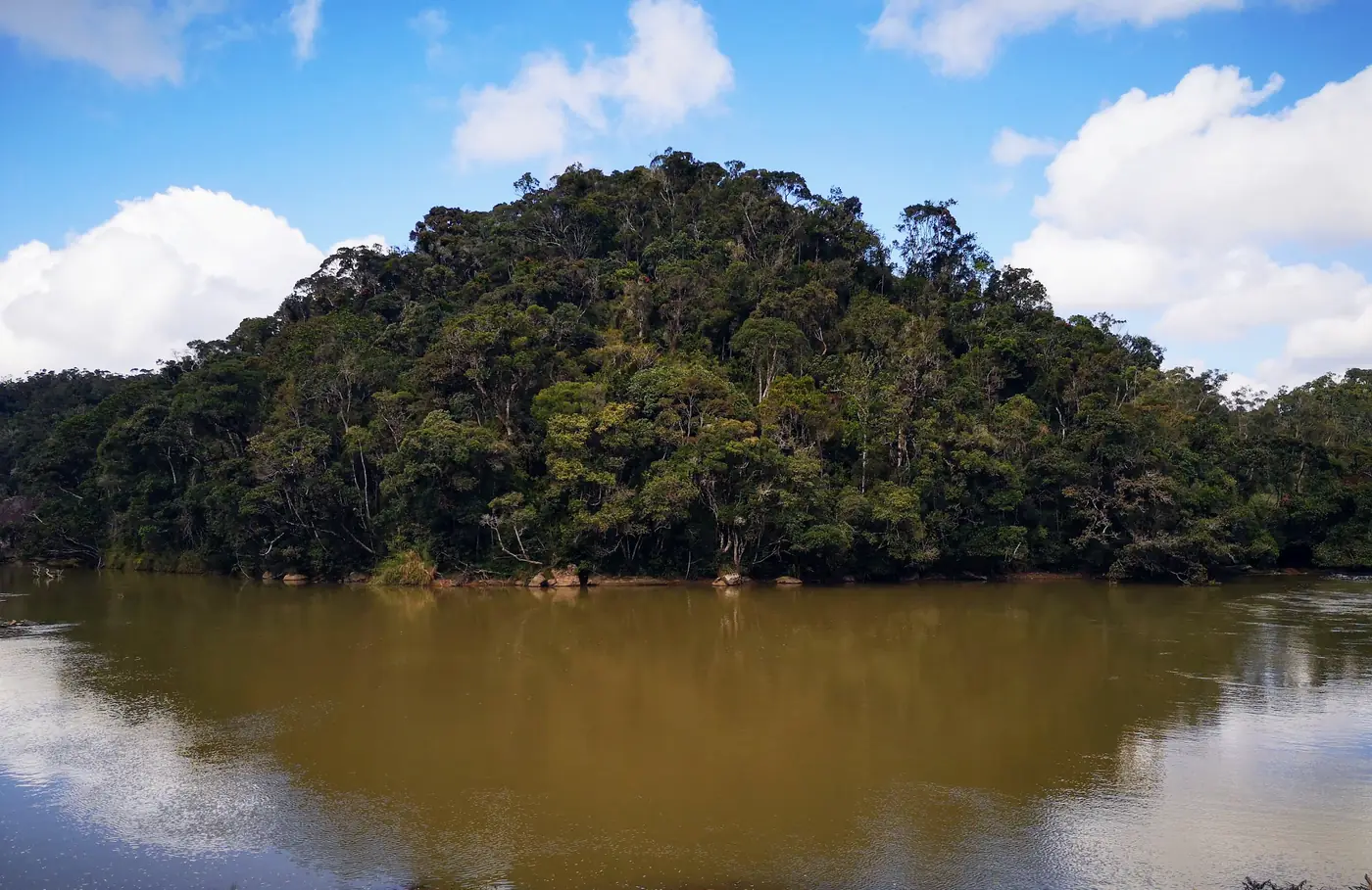 Forested hill above a river in the eastern rainforest, Madagascar
