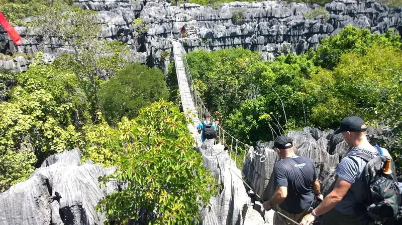 Suspension bridge over the limestone tsingy